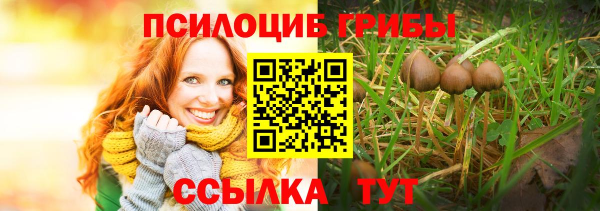 Галлюциногенные грибы мухоморы Шарыпово