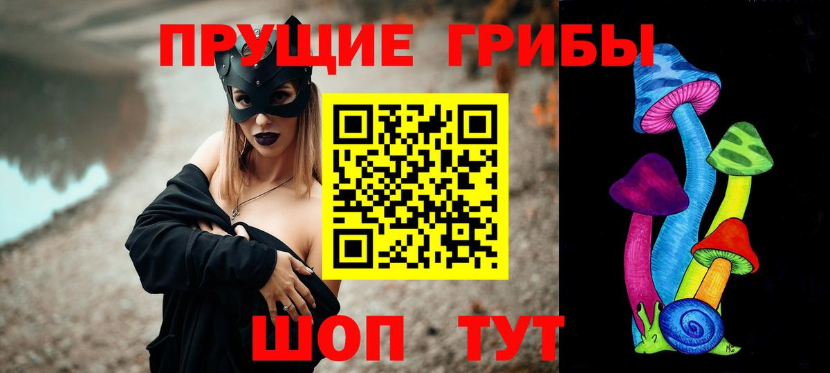 Галлюциногенные грибы Psilocybe  Вход с VPN  Шарыпово 